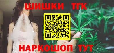 стаф Новокубанск