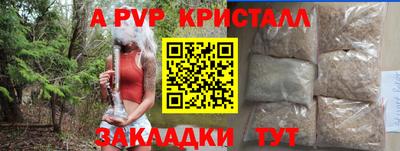 стаф Новокубанск