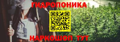 синтетический гашиш Новодвинск