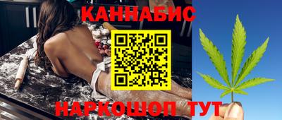 стаф Новокубанск
