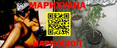 стаф Новокубанск