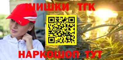 стаф Новокубанск