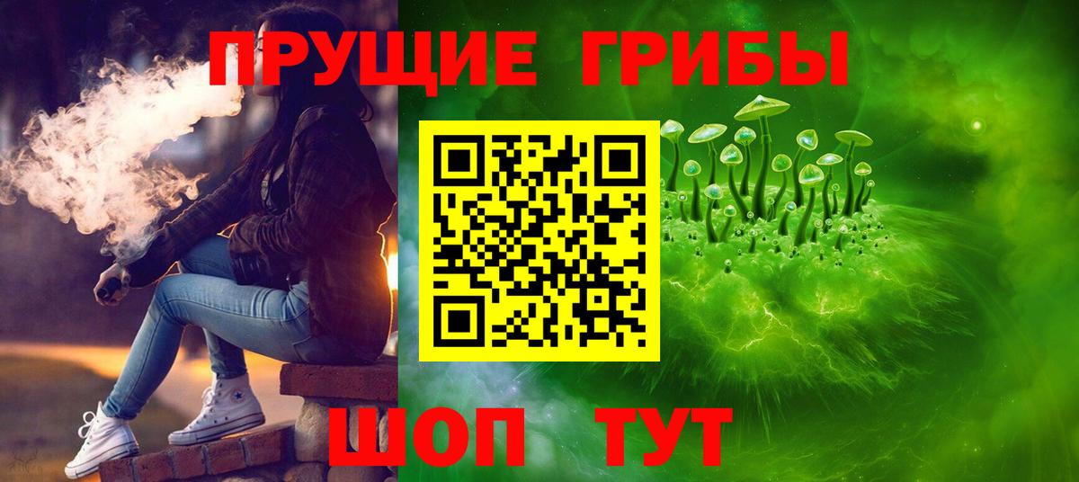 Уварово  Псилоцибиновые грибы MAGIC MUSHROOMS  Вход с VPN 